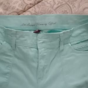 Gloria Vanderbilt 12P Pastel Spring Green Capri